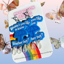 Load image into Gallery viewer, Weather boy