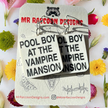 Load image into Gallery viewer, Pool Boy