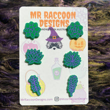 Load image into Gallery viewer, Mystery Succulent Pack