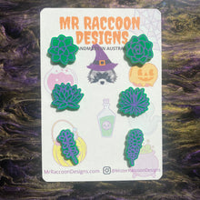 Load image into Gallery viewer, Mystery Succulent Pack